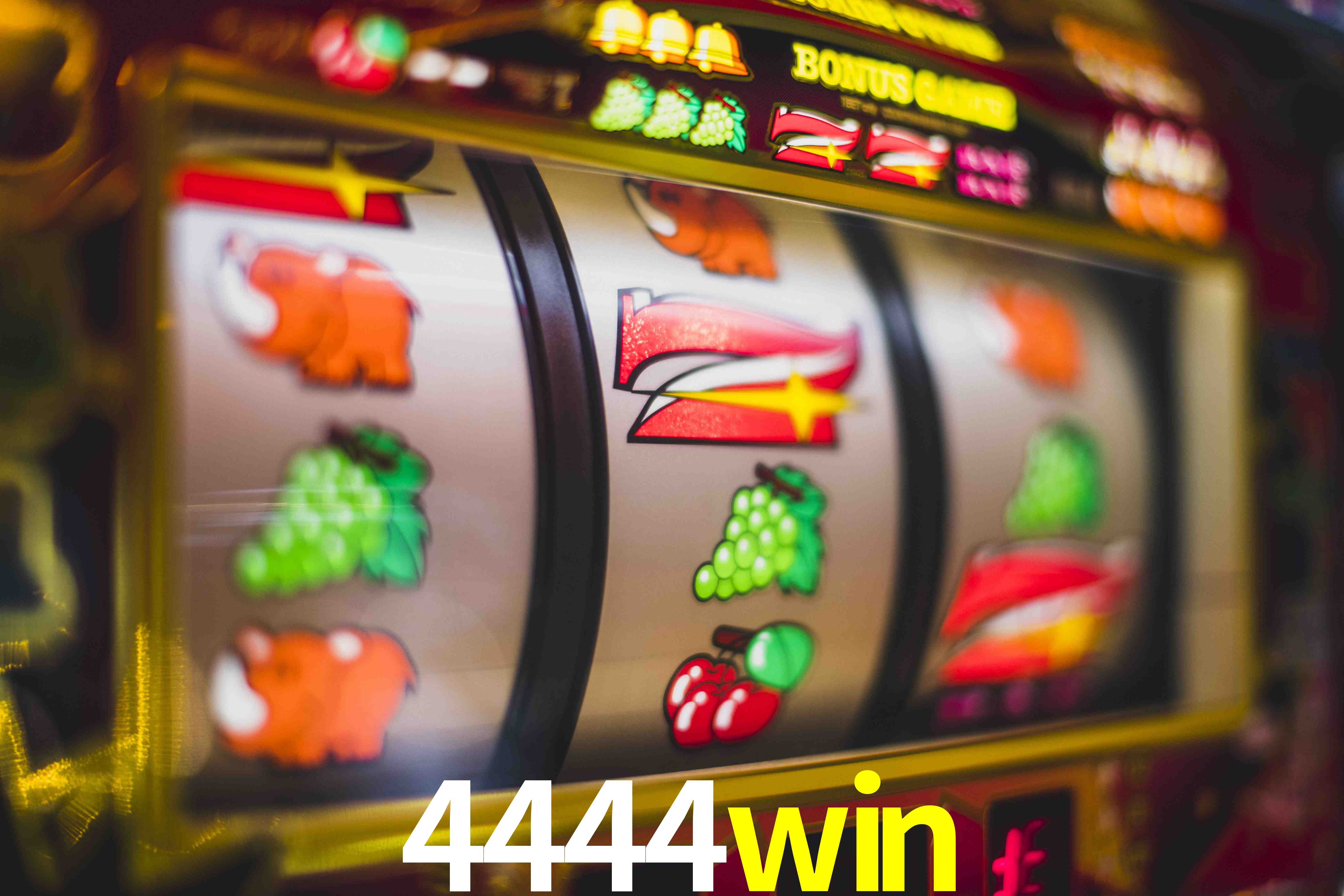 Live Casino 4444win
